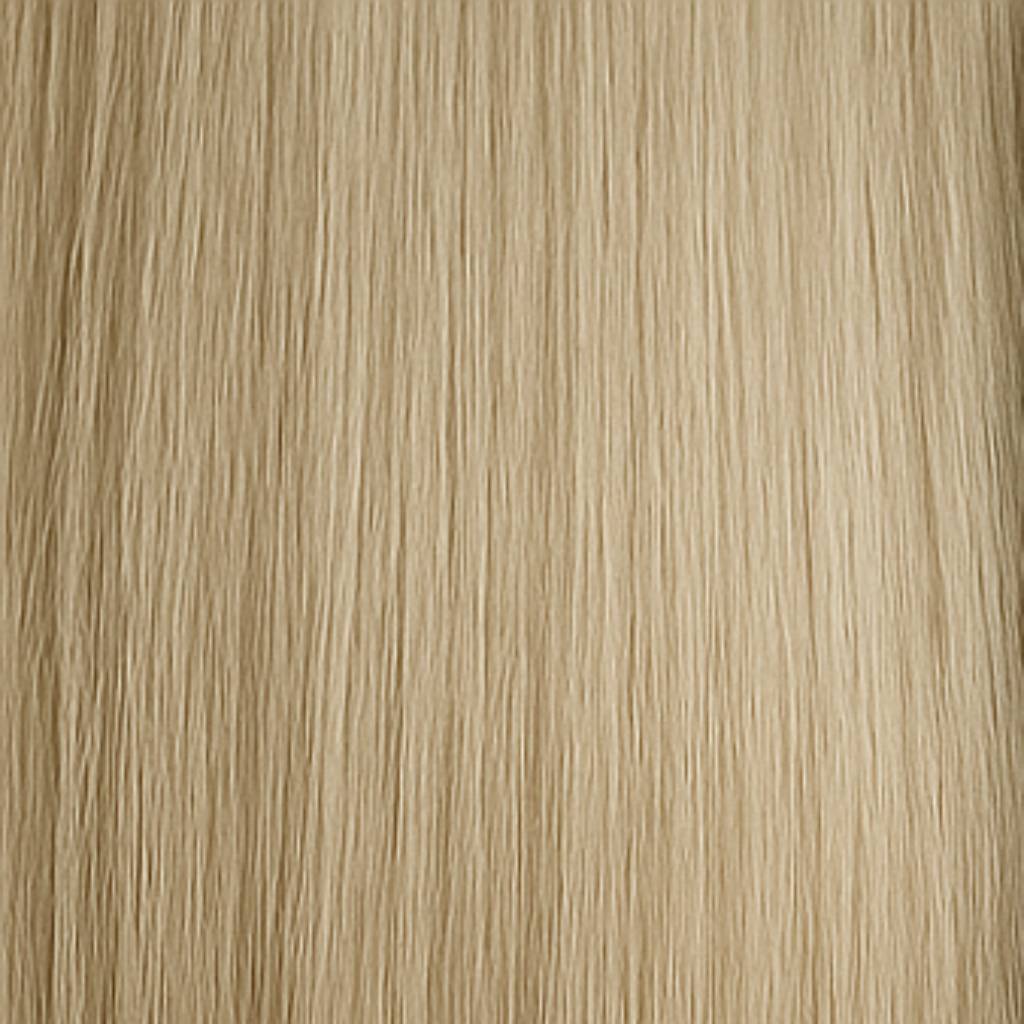 Clip & Go Standard - 10AS Titanium Blonde